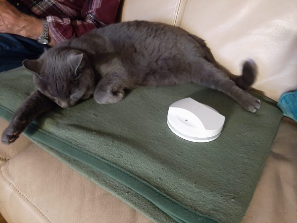 kater bobby mit dem tracker